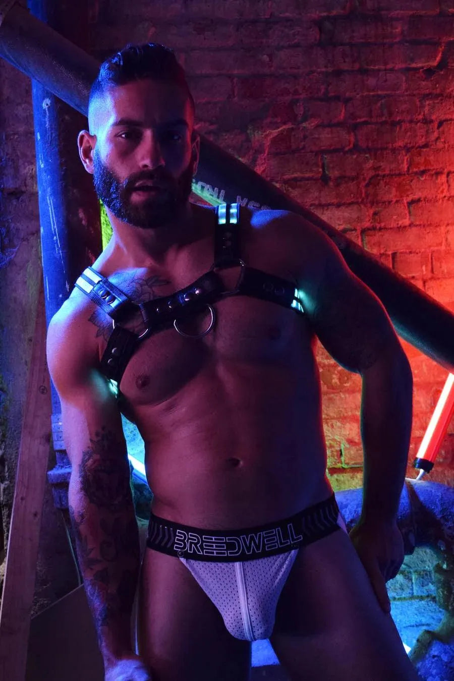 RAVE BULLDOG HARNESS - Take A Peek