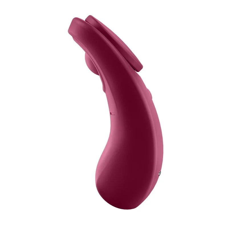 Satisfyer Sexy Secret - App Contolled USB-Rechargeable Panty Vibrator - Take A Peek
