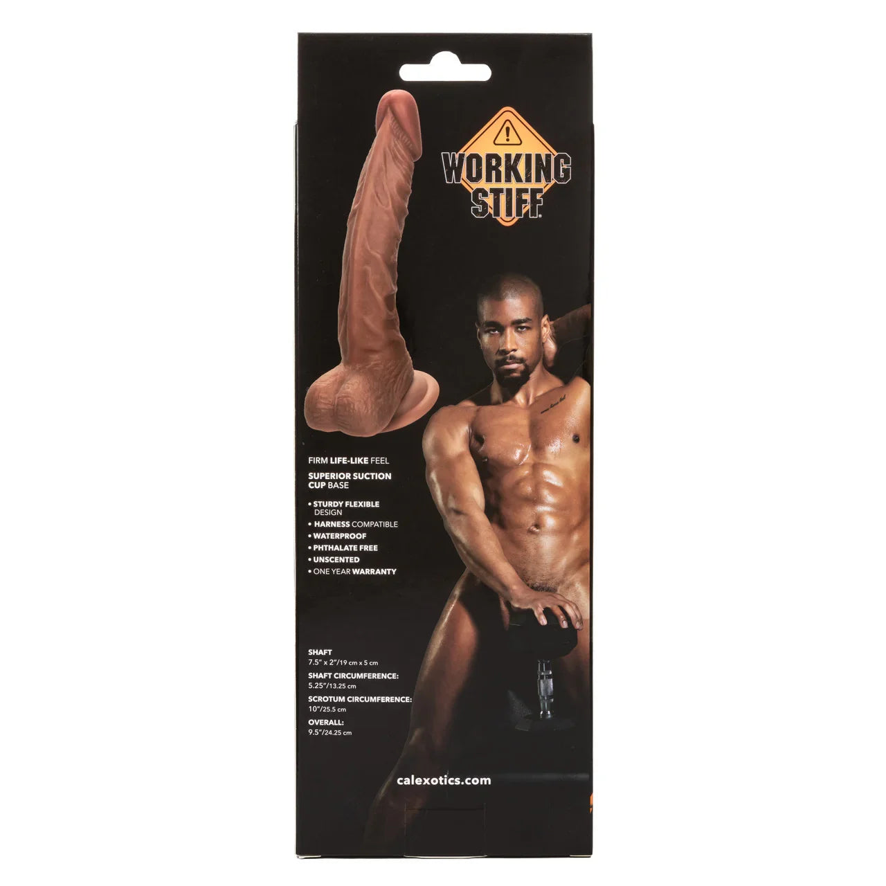 Working Stiff® The Personal Trainer - Take A Peek