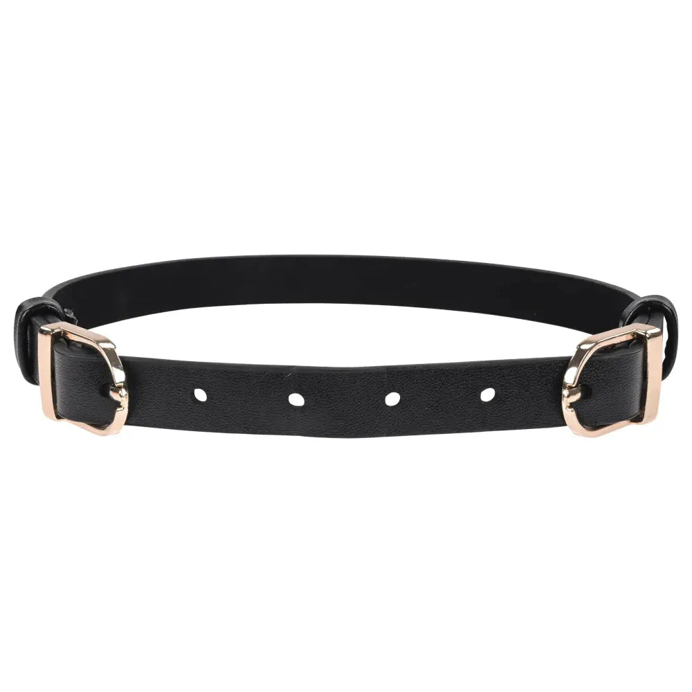 Sex & Mischief Double Buckle Day Collar - Take A Peek