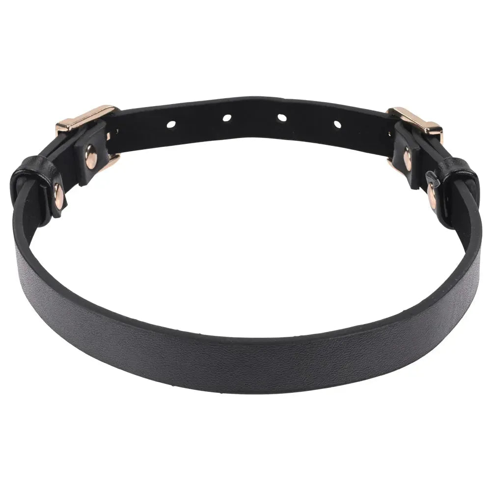 Sex & Mischief Double Buckle Day Collar - Take A Peek