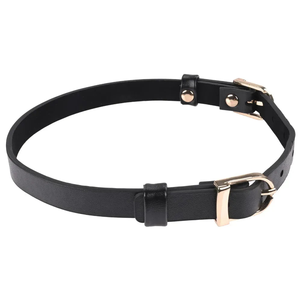 Sex & Mischief Double Buckle Day Collar - Take A Peek