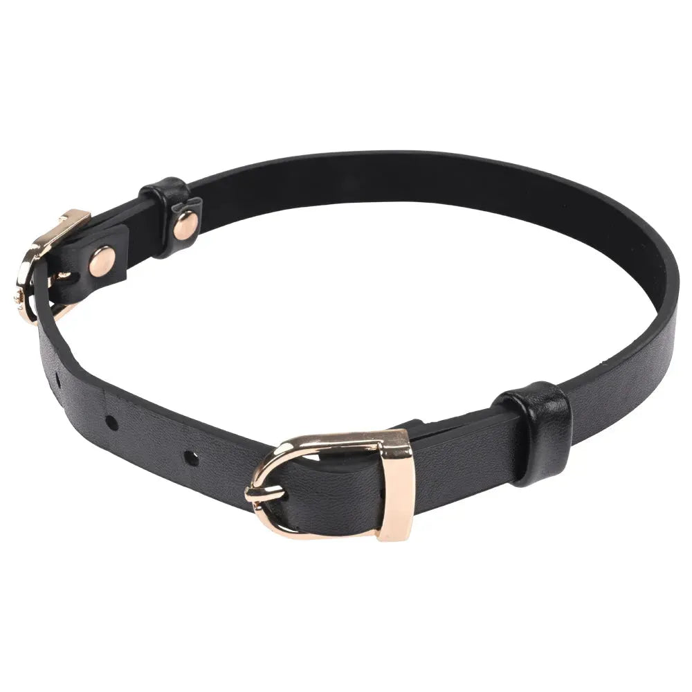 Sex & Mischief Double Buckle Day Collar - Take A Peek