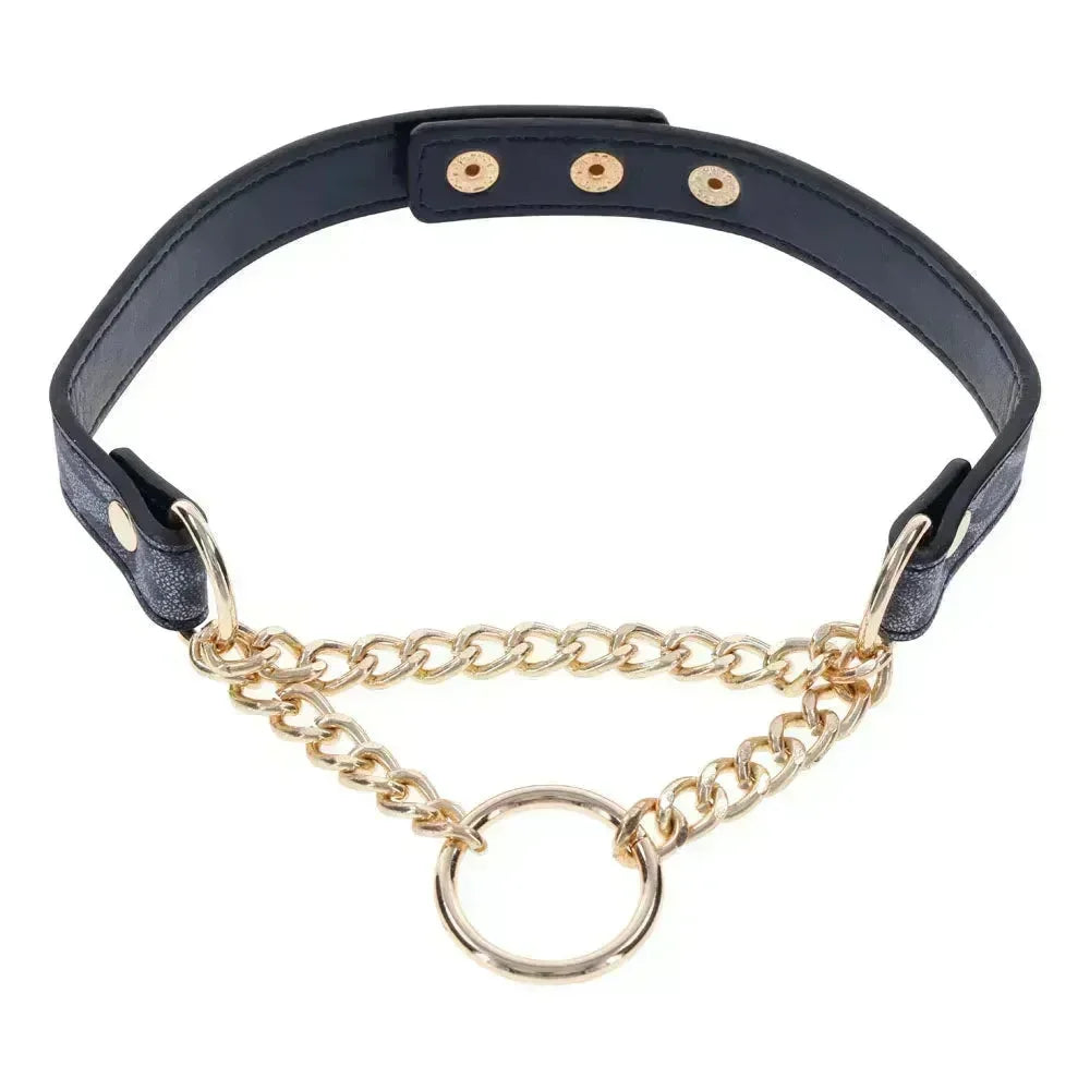 Sex & Mischief Cougar Day Collar - Navy /Gold Collar - Take A Peek
