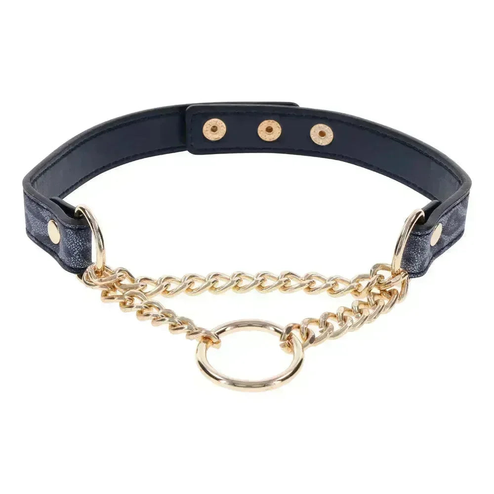 Sex & Mischief Cougar Day Collar - Navy /Gold Collar - Take A Peek
