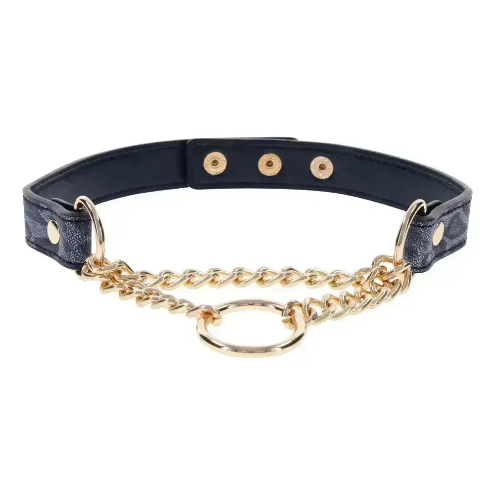 Sex & Mischief Cougar Day Collar - Navy /Gold Collar - Take A Peek