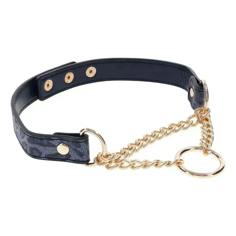 Sex & Mischief Cougar Day Collar - Navy /Gold Collar - Take A Peek