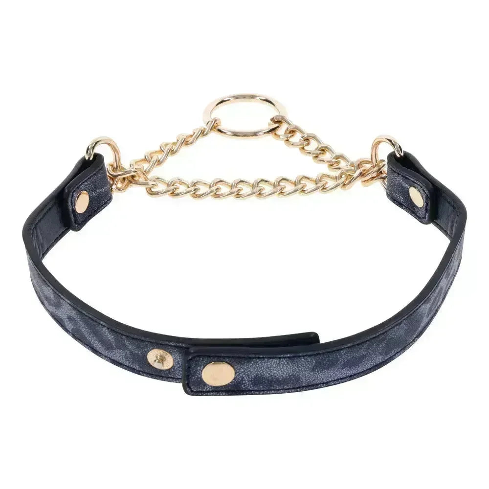 Sex & Mischief Cougar Day Collar - Navy /Gold Collar - Take A Peek