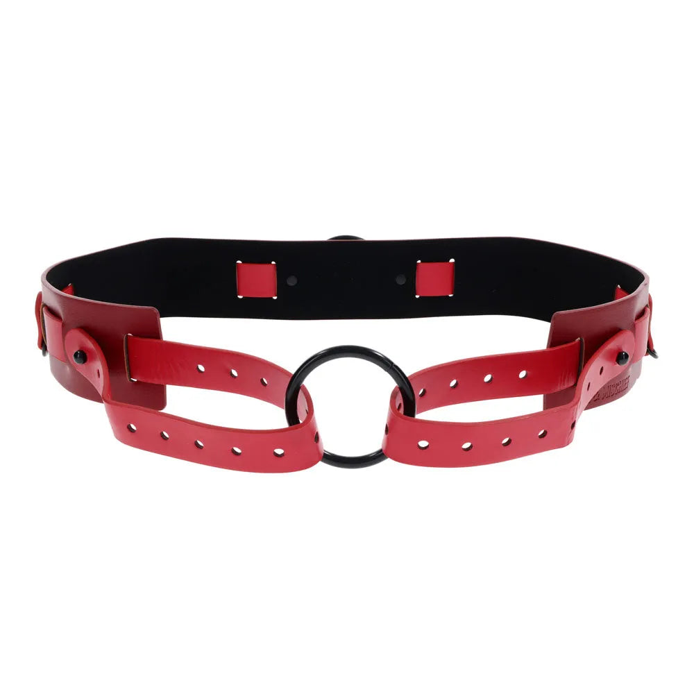 S&M Exs & Ohs Bound and Belted - - Take A Peek