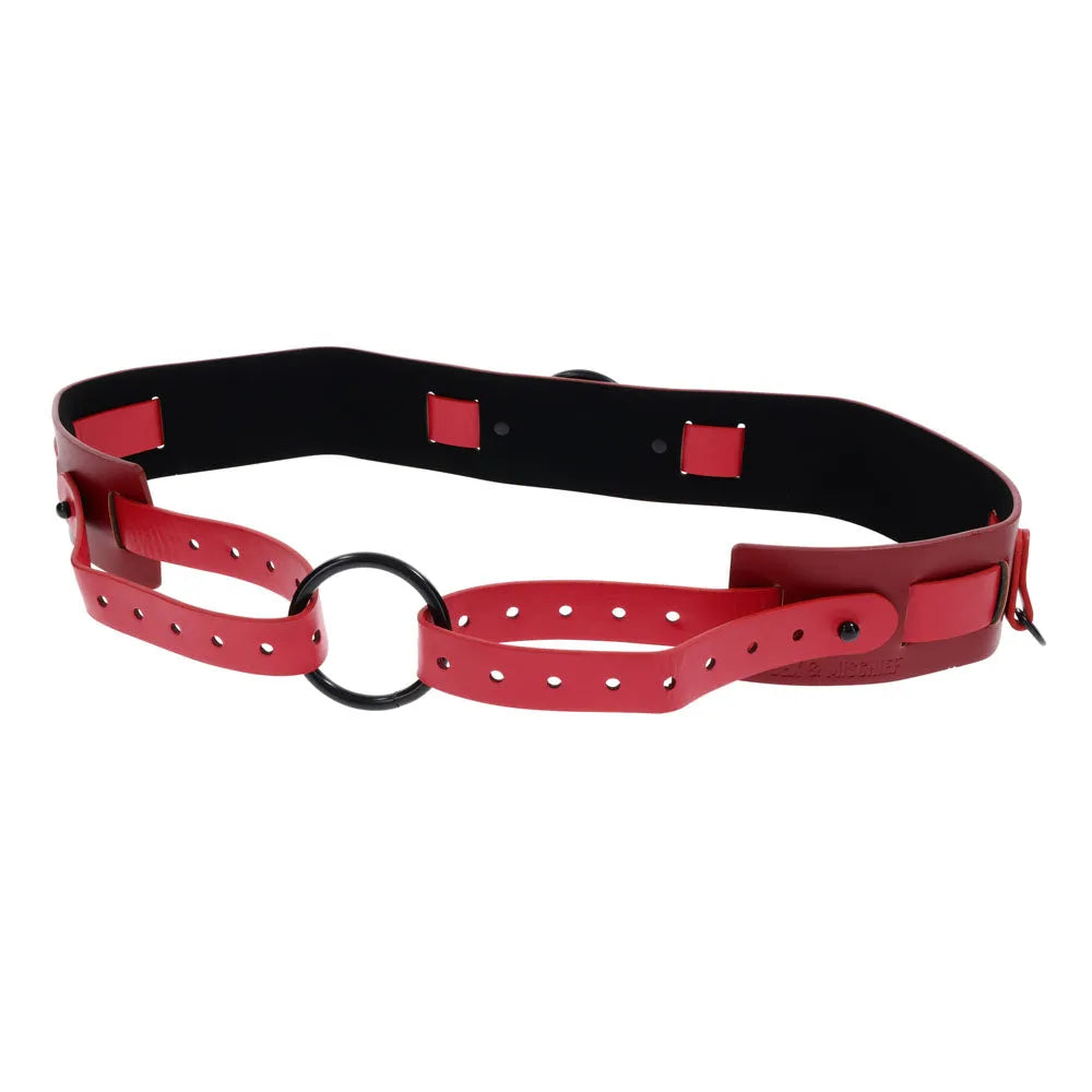 S&M Exs & Ohs Bound and Belted - - Take A Peek