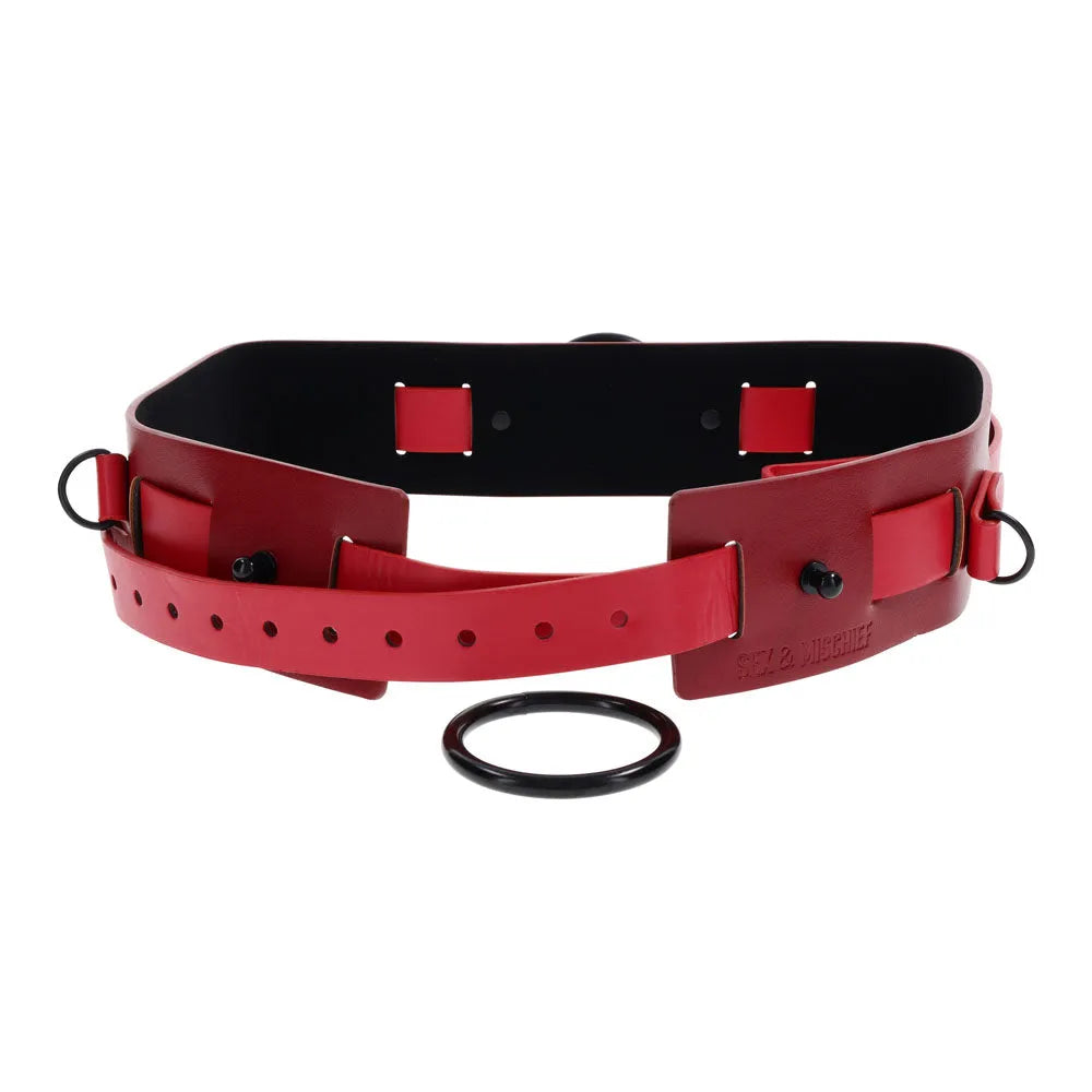 S&M Exs & Ohs Bound and Belted - - Take A Peek