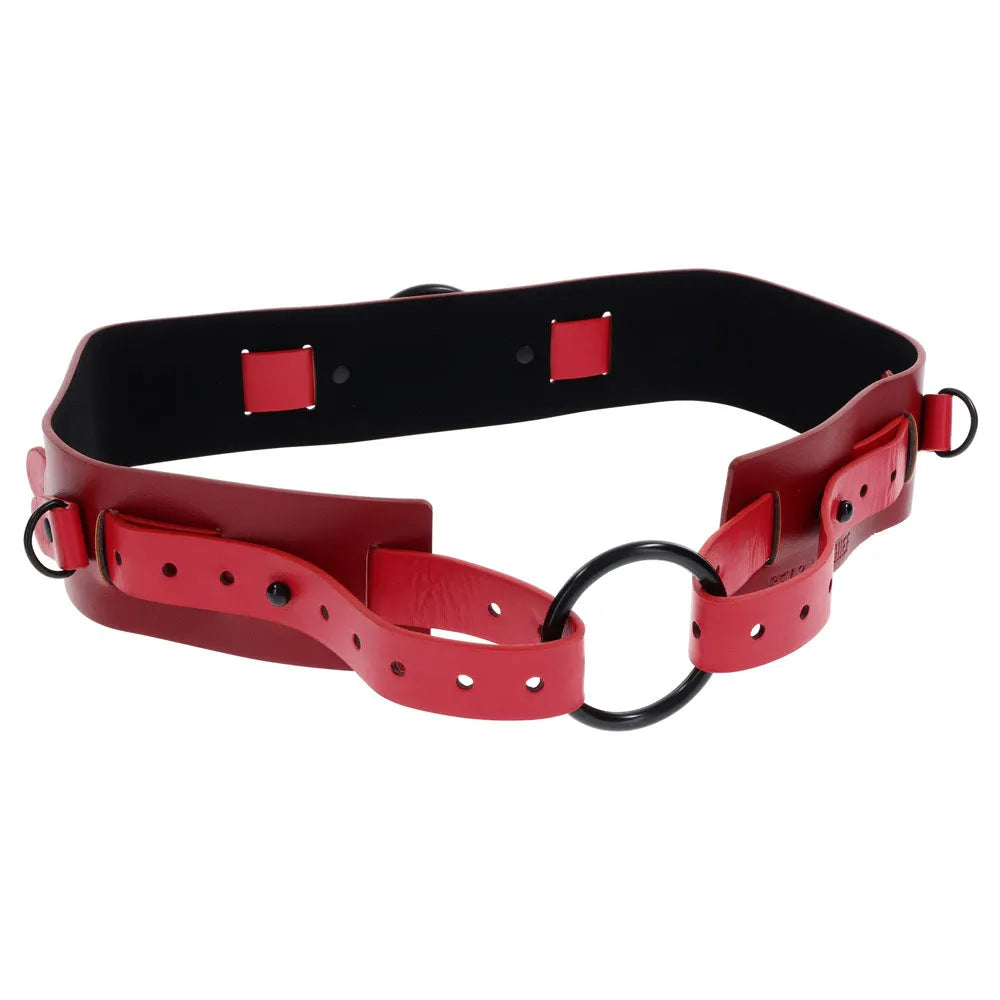 S&M Exs & Ohs Bound and Belted - - Take A Peek
