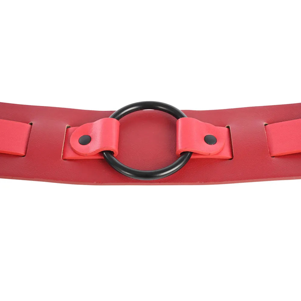 S&M Exs & Ohs Bound and Belted - - Take A Peek