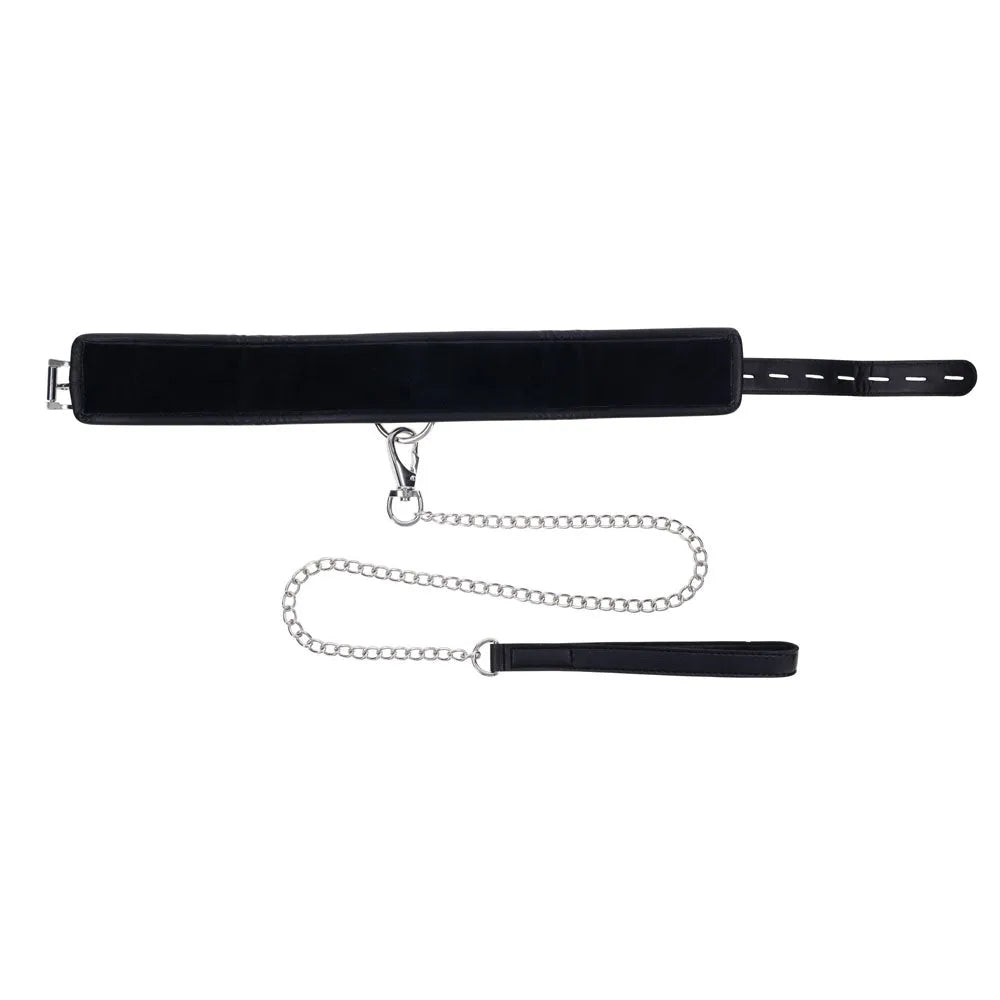 EDGE Collar & Leash - Neck Restraint with Heavy Duty Metal Leash - Take A Peek