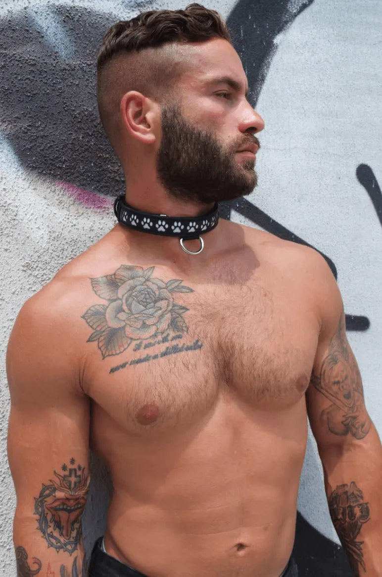 GLOW PUP COLLAR MULTI SELECTIVE ONE SIZE - Take A Peek