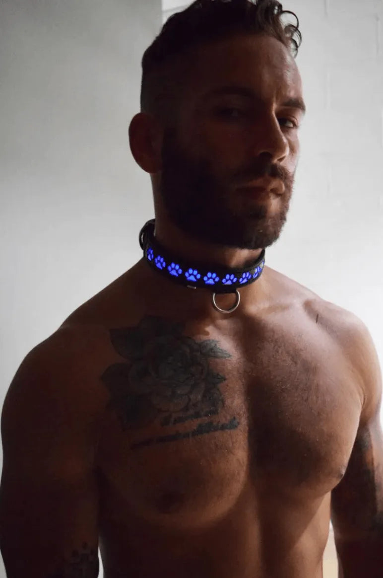 GLOW PUP COLLAR MULTI SELECTIVE ONE SIZE - Take A Peek