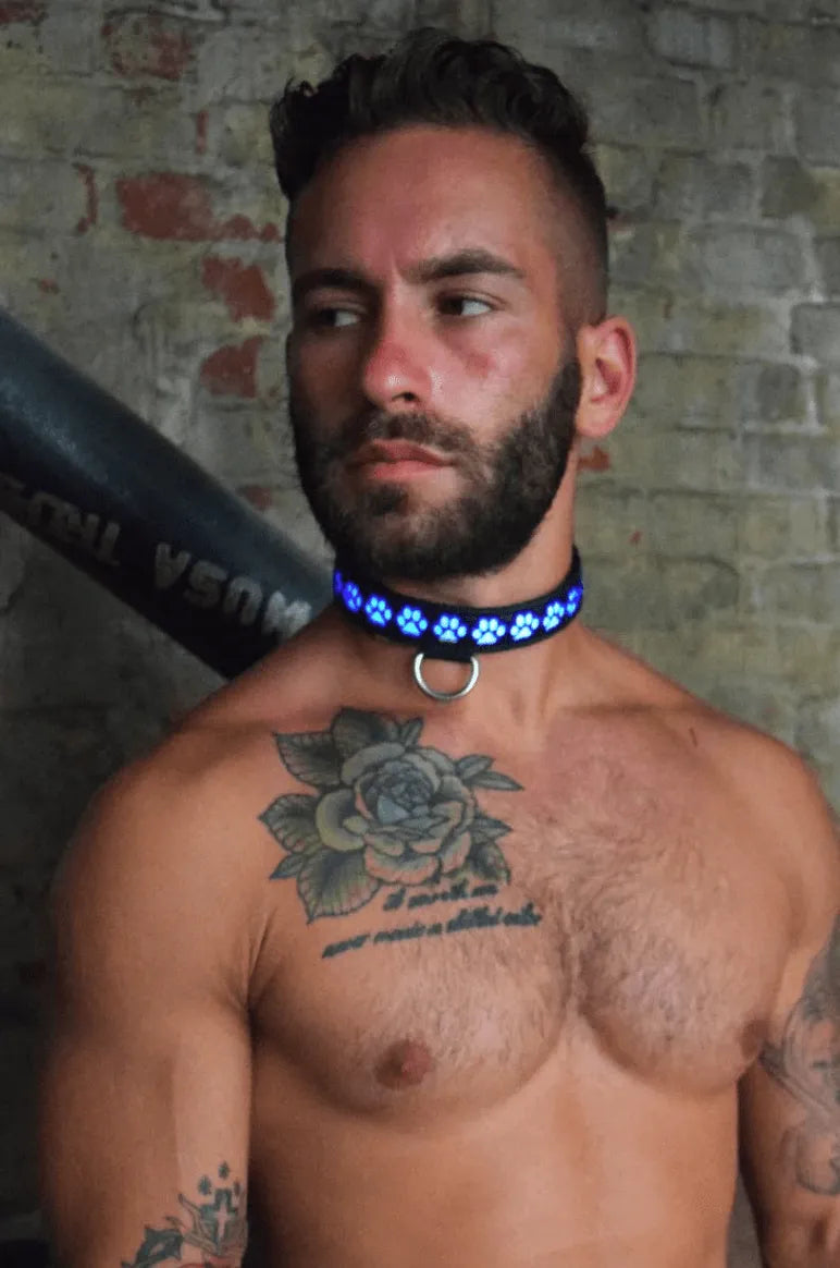 GLOW PUP COLLAR MULTI SELECTIVE ONE SIZE - Take A Peek