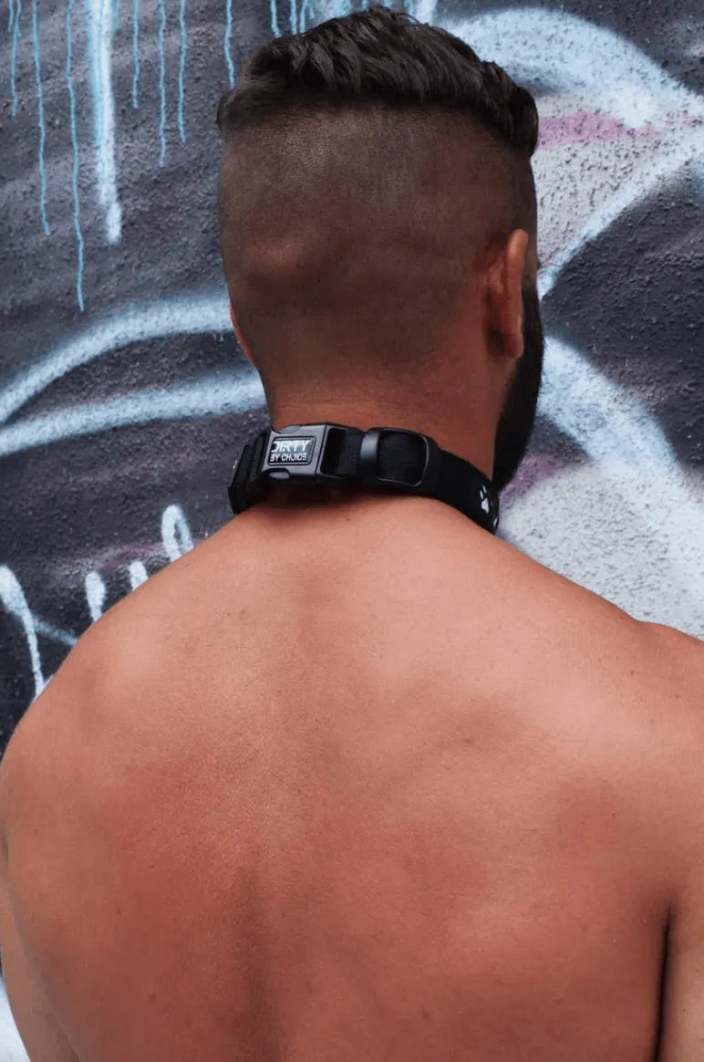 GLOW PUP COLLAR MULTI SELECTIVE ONE SIZE - Take A Peek