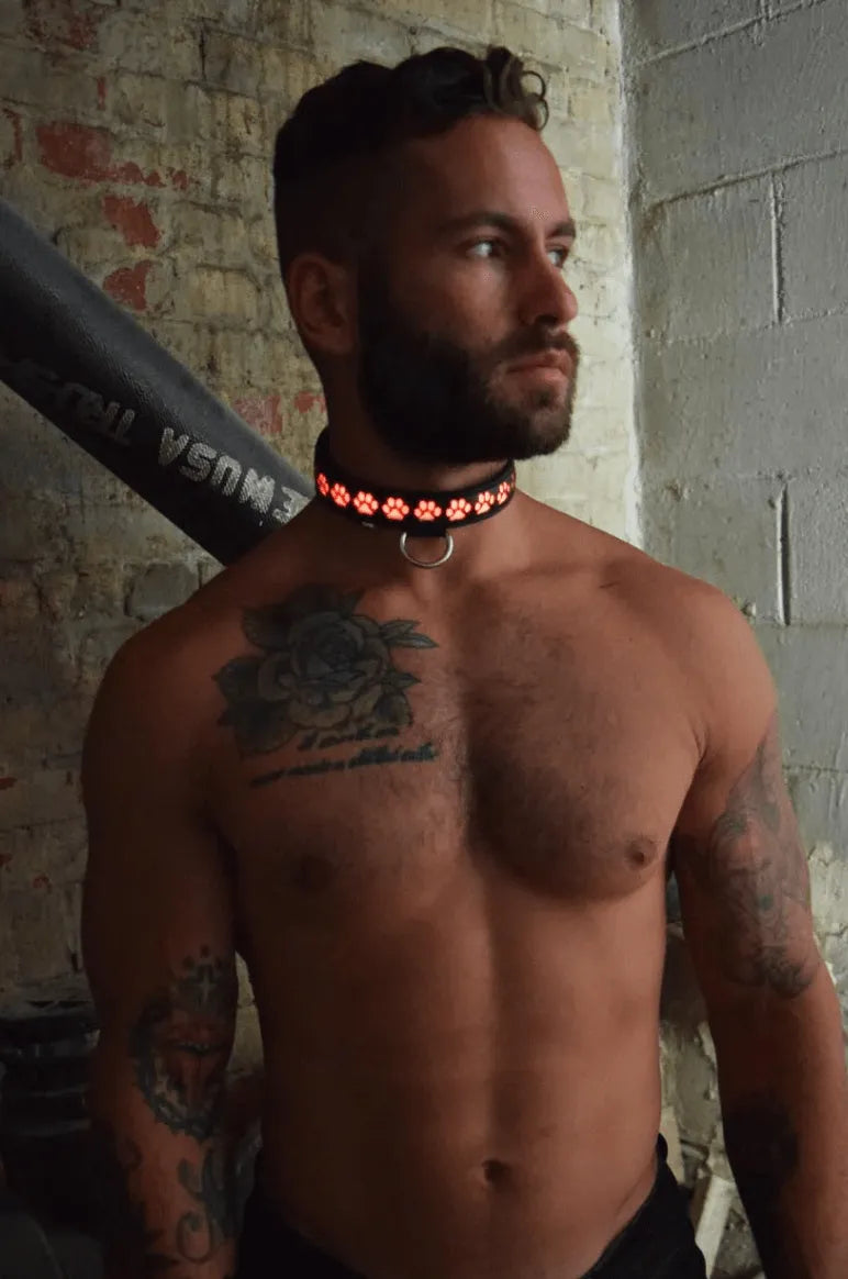 GLOW PUP COLLAR MULTI SELECTIVE ONE SIZE - Take A Peek
