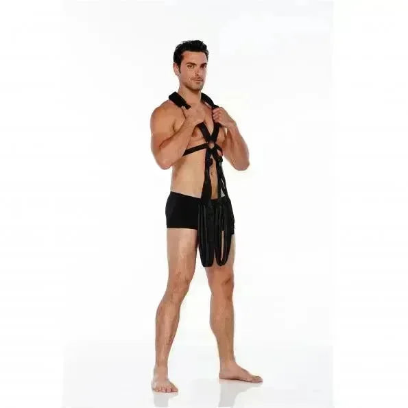 WhipSmart Body Swing - Black Body Swing Harness - Take A Peek