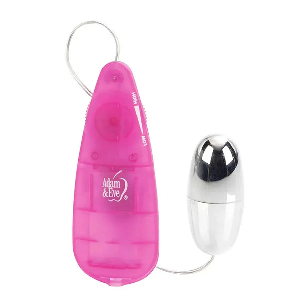 Adam & Eve VIBRATING SILVER BULLET 2.0 - Silver 5.8 cm Bullet with Pink Remote - Take A Peek