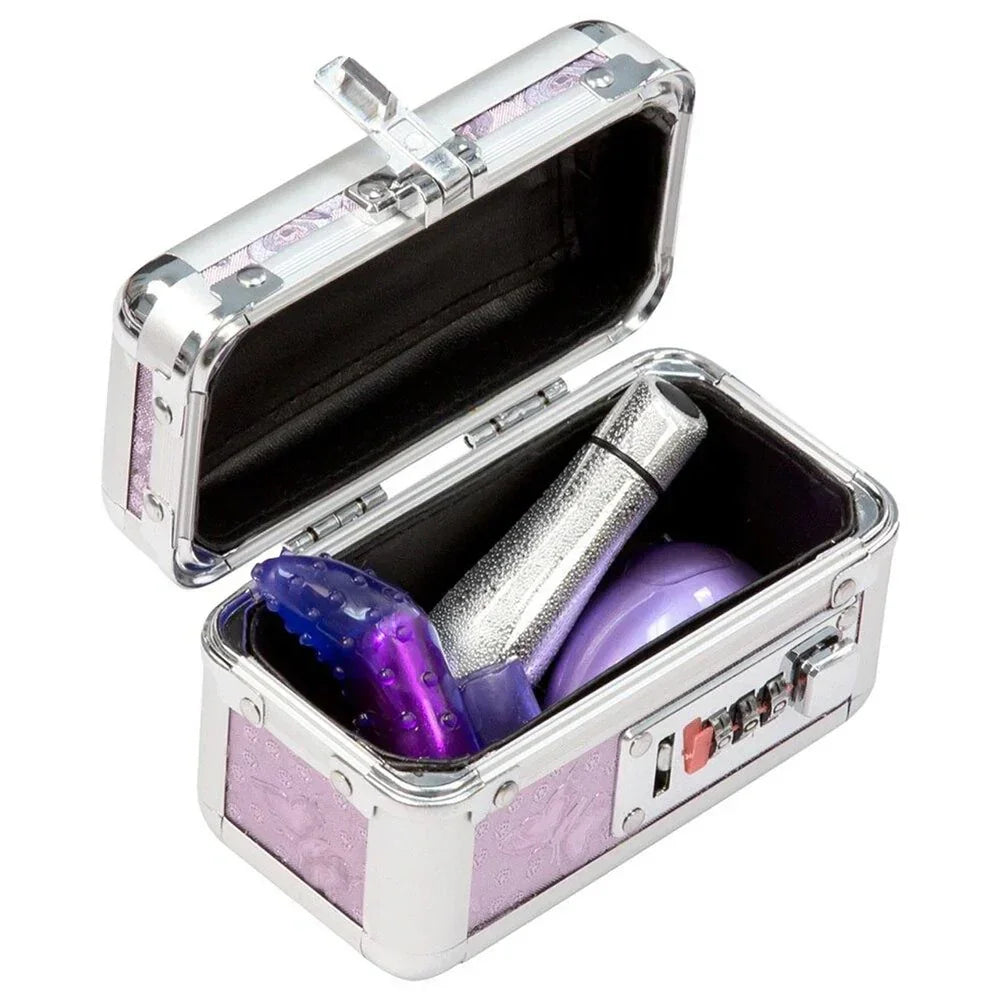 LOCKABLE VIBRATOR CASE - Purple - Mini - Take A Peek