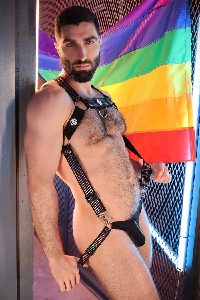 ICON PRIDE BODY HARNESS - Take A Peek