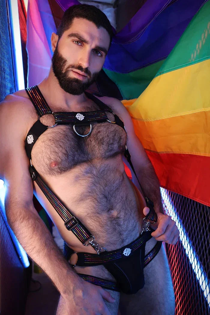 ICON PRIDE BODY HARNESS - Take A Peek