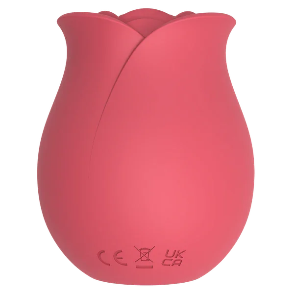 Rose (Pink)-CN-624304345