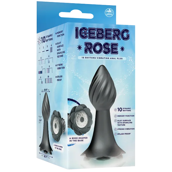10 Rhythms Vibrating Anal Plug (Grey) - Take A Peek