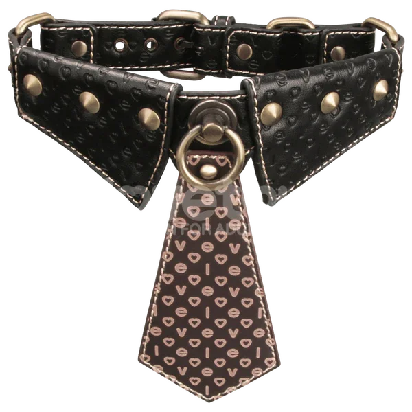 Collar & Leash-LV761205
