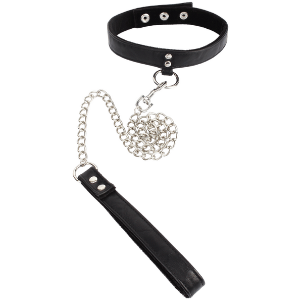 Follow the Leash with Collar-CN-738803552