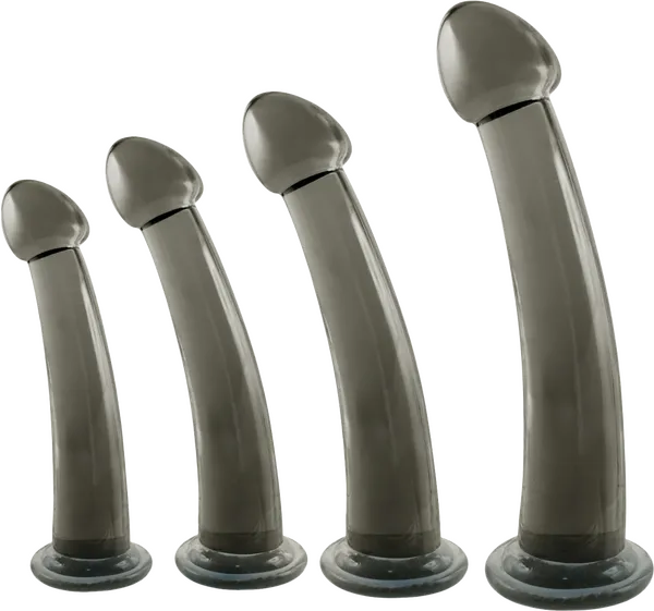 4 In 1 Anal Plug Kit Set (Smoke) - Take A Peek