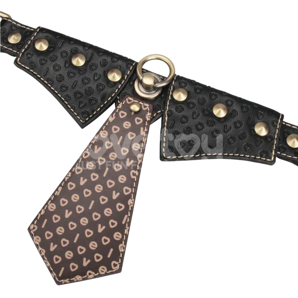 Collar & Leash-LV761205