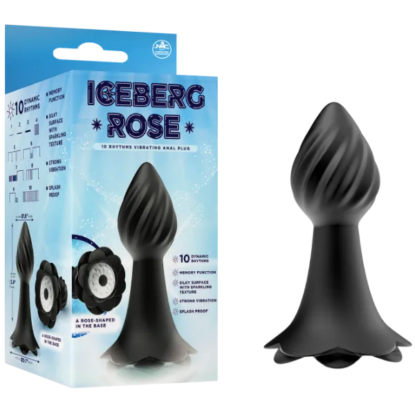 10 Rhythms Vibrating Anal Plug (Black) - Take A Peek