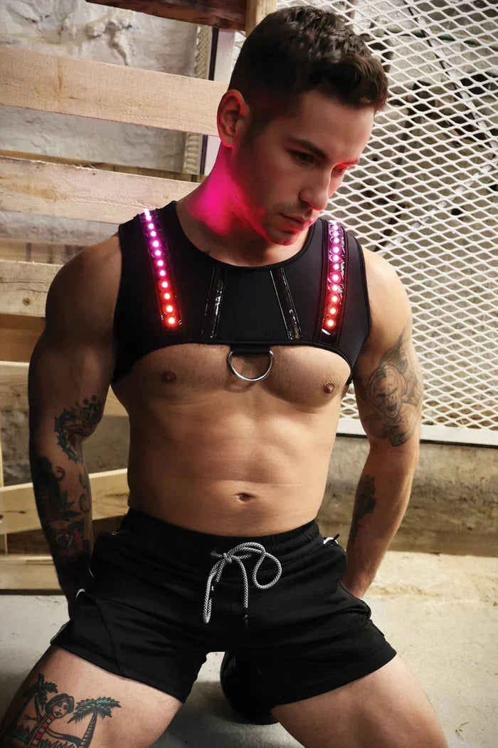 PRISMAGLOW CHEST HARNESS - Take A Peek