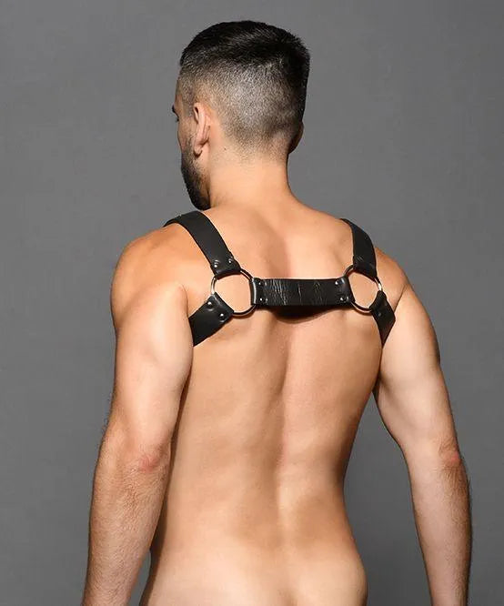 Zipper Harness - Take A Peek