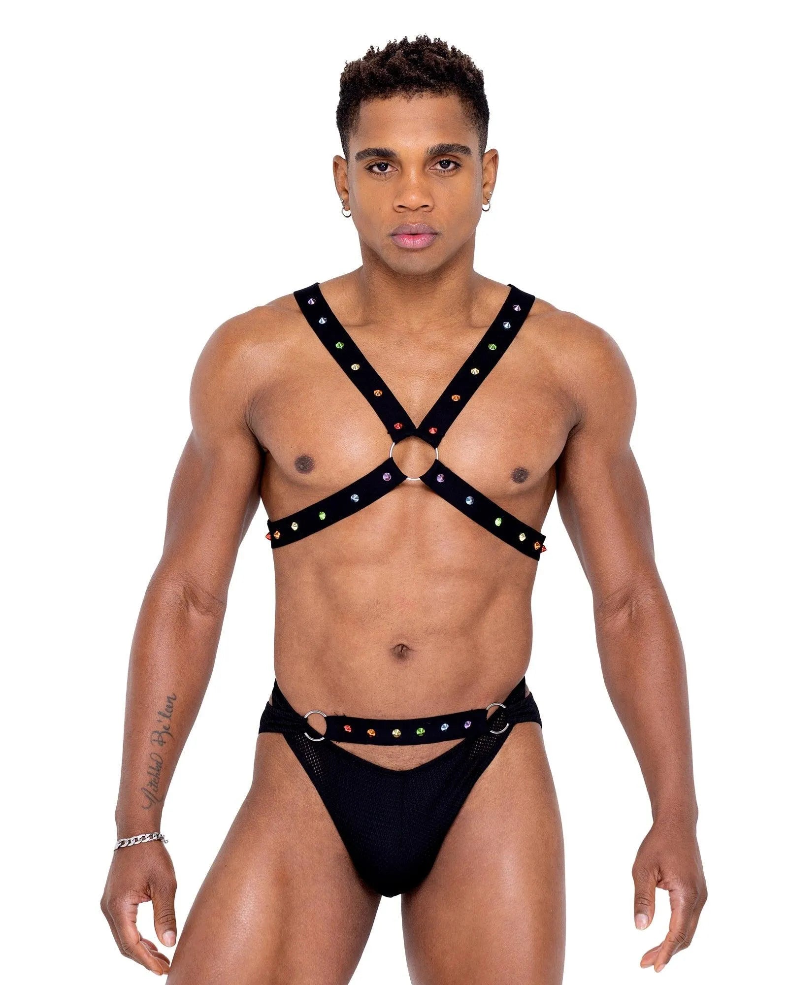6337 - Mens Pride Harness - Take A Peek
