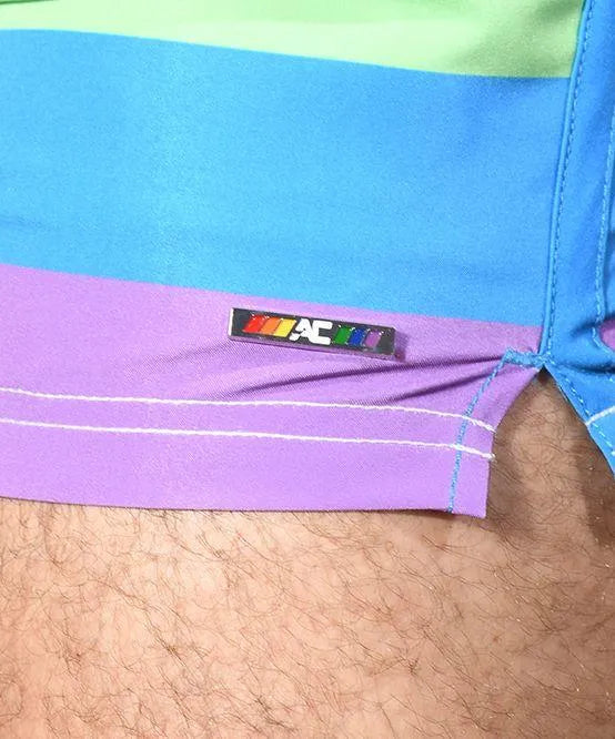 Pride Stripe Swim Shorts - Take A Peek
