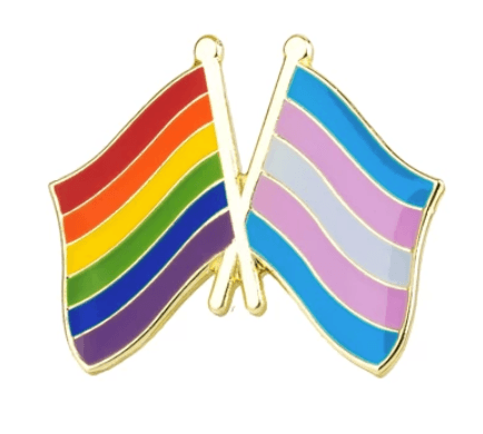 Rainbow & Transgender Flag Enamel Pin - Take A Peek