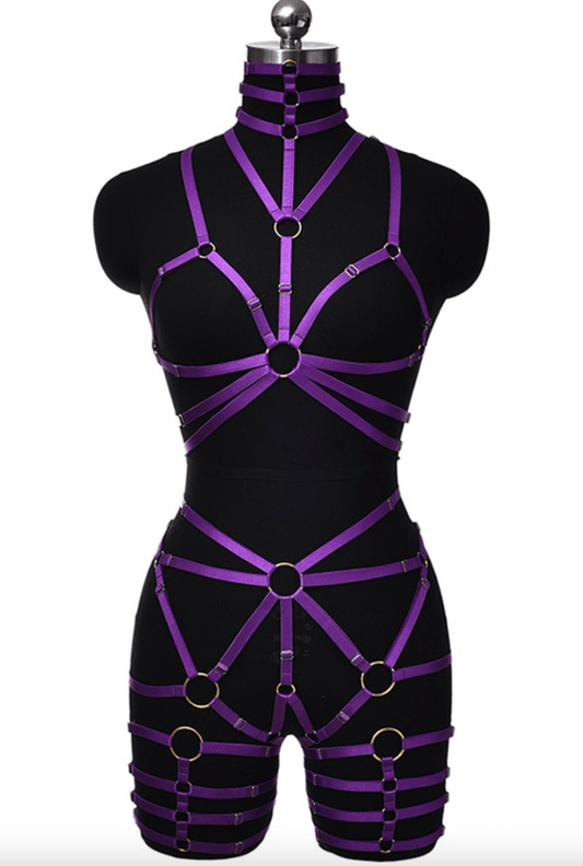 Purple Body Harness - Take A Peek