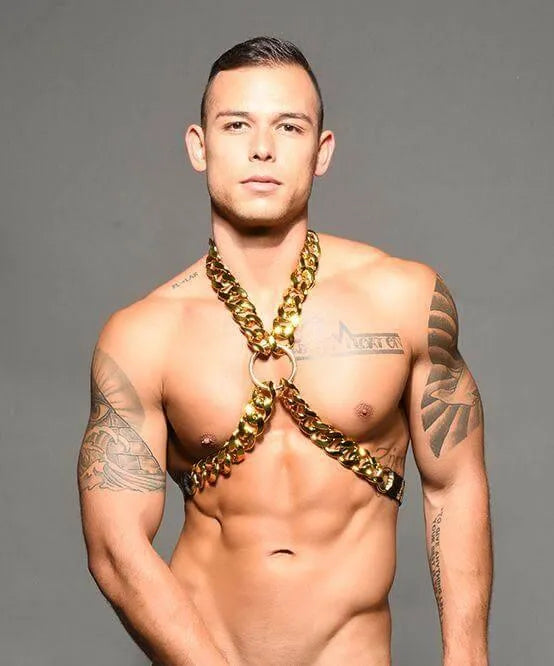 Chains Of Love Harness - Take A Peek