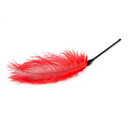 Feather Tickler Red - Take A Peek