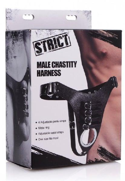 Male Chastity Harness - Take A Peek