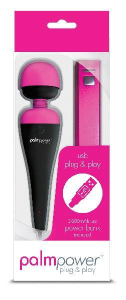 PalmPower Massage Wand Plug & Play USB - Take A Peek
