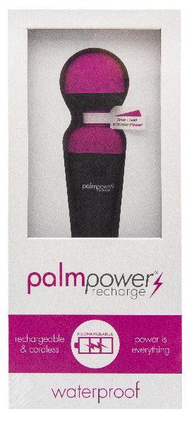 PalmPower Massage Wand Recharge Waterproof - Take A Peek